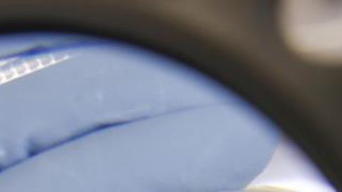 Dans son laboratoire de biocontrôle, à Limburgerhof (Allemagne), BASF élabore les solutions de demain. BASF