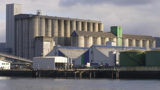 Baisse des exportations de blé tendre
