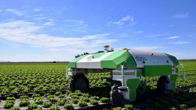 Le robot enjambeur Dino est destiné au désherbage des légumes en planches, comme la salade.