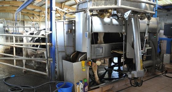 Robot de traite Delaval