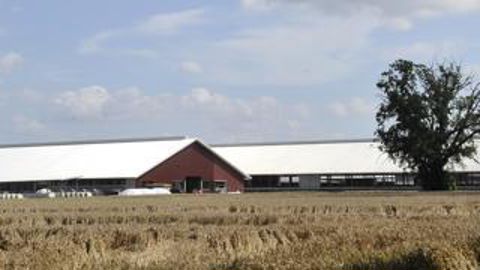 Collecte. La mobilisation de la filière a permis de continuer, pour l’instant, la collecte des 3 % de lait allemand laissés en souffrance par la faillite de BMG .