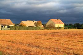 Les agriculteurs de la FRSEA de Bretagne ne baissent pas les bras, estimant qu’ils utilisent le glyphosate de manière raisonnée, ce qui n’est pas le cas partout dans le monde. DOMINIQUE BARDOUX Les agriculteurs de la FRSEA de Bretagne ne baissent pas les bras, estimant qu’ils utilisent le glyphosate de manière raisonnée, ce qui n’est pas le cas partout dans le monde. DOMINIQUE BARDOUX