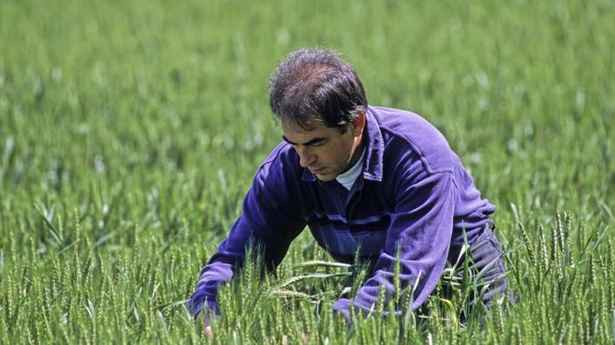 Doctofarm permet à l’agriculteur de recevoir un diagnostic rapide, en moins de deux minutes, de son technicien. © WATIER-VISUEL