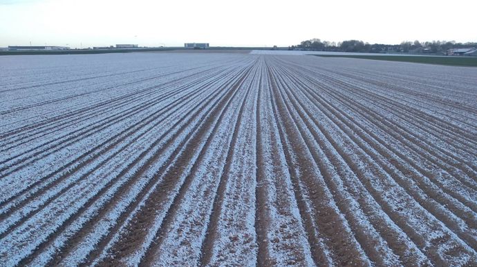 Le sud de Paris a été la région betteravière la plus touchée par la chute des températures du 6 au 8 avril. © ITB