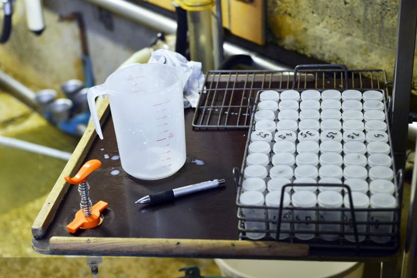 Seenovia et Seenorest, les partenaires historiques de Littoral Normand dans le groupe de conseils Seenergi, reprennent également l’ensemble de leurs activités le 27 avril. Cédric FAIMALI