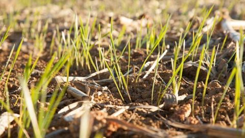 La société Rize apporte un service intégré permettant le suivi des émissions de GES et la séquestration du carbone tout au long du projet, la certification ainsi que la collecte des financements grâce à la vente de crédits carbone à des acteurs privés ou publics. © S. CHAMPION