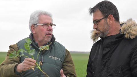 Sébastien Robinet, agriculteur (à dr.), est accompagné par Bertrand Chereau, conseiller agronomique d’AC Négoce. © AUDE RICHARD