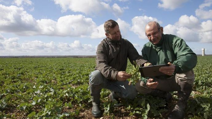 27 % des agriculteurs utilisateurs de logiciels de gestion du parcellaire sont aidés par une personne extérieure à leur exploitation pour l’utilisation de ces logiciels. Parmi eux, 30 % sollicitent un technicien de coopérative ou de négoce. © S. CHAMPION