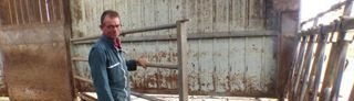 Bavettes. Dans son bâtiment fermé dédié aux génisses, Denis Lecoq a fixé une bavette sur la barrière qui s’adosse à la porte. Le racleur peut passer en dessous. Cette mesure contribue à empêcher les étourneaux de rentrer. C’est mission impossible en bâtiment semi-ouvert.C.H. Bavettes. Dans son bâtiment fermé dédié aux génisses, Denis Lecoq a fixé une bavette sur la barrière qui s’adosse à la porte. Le racleur peut passer en dessous. Cette mesure contribue à empêcher les étourneaux de rentrer. C’est mission impossible en bâtiment semi-ouvert.C.H.