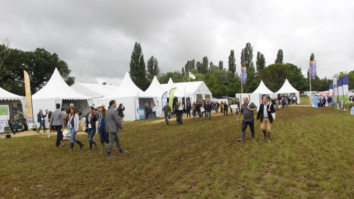 Les Culturales 2018 à L’Isle-Jourdain (Gers) avaient accueilli 10 000 visiteurs dans des conditions boueuses. © L. PETIT