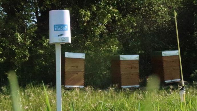 Chaque ruche comporte deux balances connectées, un GPS/capteur thermique, et est associée à une station météo connectée.