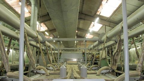 La filature sera adossée à la linière de Saint-Martin-du-Tilleul (photo) dirigée par Karim Behlouli, également dirigeant de la filiale Ecotechnilin détenue par NatUp. © A. DUFUMIER