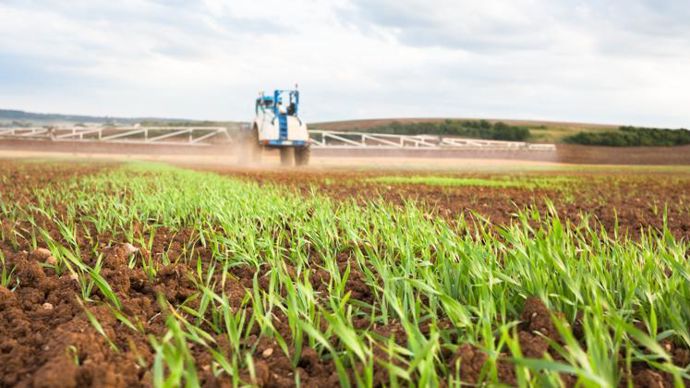 Des impasses techniques ont été identifiées par l’Inrae, notamment en agriculture de conservation des sols, ou encore lorsque le passage d’outils mécaniques est irréalisable. ©  C. THIRIET