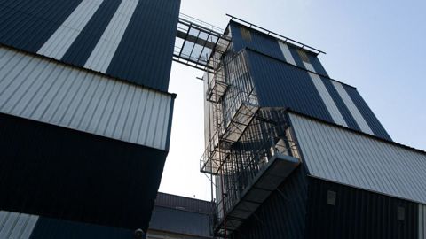 Sur le site InVivo d’Ottmarsheim (Haut-Rhin), les taux d’humidité des maïs seront finalement compris entre 28 et 30 %.