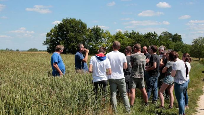 Les agriculteurs qui auront fourni leur certification de niveau 2 ou 3 au 30 juin 2021, recevront une prime de 1 €/t de récolte livrée lors de la prochaine moisson. Ici, un tour de plaine du club Agrosol de Vivescia. © GUTNER
