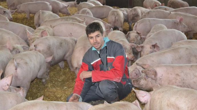 Yoann Bonnefous, à Tanus (Tarn) produira 78 % des porcs charcutiers sur paille, de la filière Pyrénéus Excellence d’Arterris et Guasch. © F. JACQUEMOUD