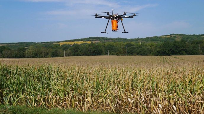 Trois principaux freins à l’adoption des produits de biocontrôle ont été identifiés dans le cadre d’une enquête utilisateurs de l’IBMA : le manque d’efficacité des produits, ou du moins le manque de preuves de leur efficacité, le manque d’accompagnement, d’information et de formation et, enfin, le coût de ces solutions.