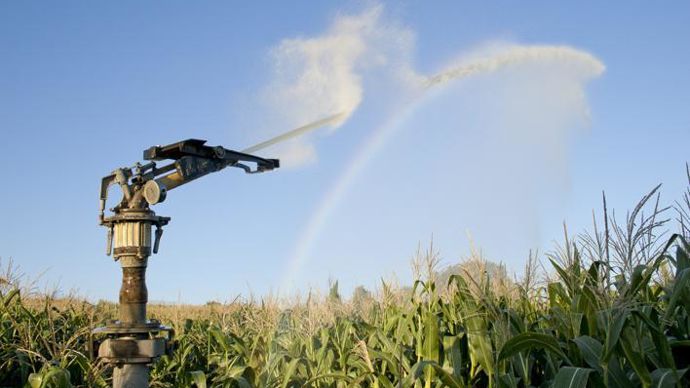 Couplé aux stations Raincrop et Windcrop, Solarcrop permet de calculer en temps réel l’évapotranspiration et de générer automatiquement le bilan hydrique de la culture. © SÉBASTIEN CHAMPION