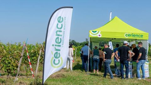 Si Cérience déploie désormais Messager sur céréales et arboriculture, le semencier tient à pérenniser son marché sur la vigne en accompagnant les distributeurs, notamment lors de visites de pôles experts (ici, le 13 avril, à Langoiran en Gironde) © F. CASSARD