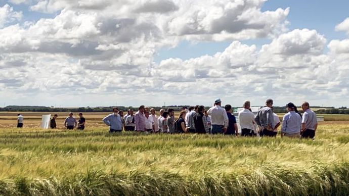 Le partenariat entre Bioline by InVivo et PADV place la régénération des sols agricoles au cœur de l’action. © OPENFIELD