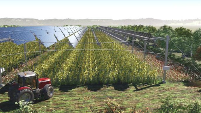 TSE propose un système d’ombrière agrivoltaïque équipé de panneaux solaires rotatifs installés sur des câbles à 5 m de hauteur au-dessus d’un terrain agricole. © TSE