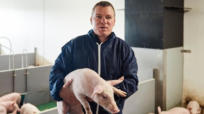 Romain Gerussi, responsable de la filière élevage du Comptoir agricole, qui annonce en juin une cadence de 50 têtes par semaine estampillées Porc d’Alsace.