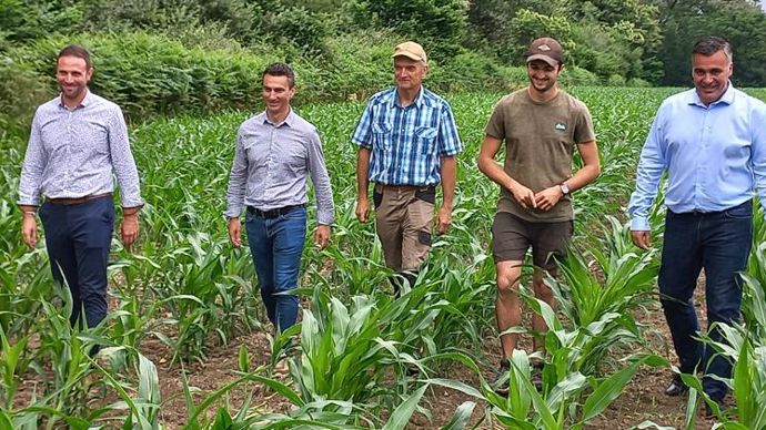 Romain Melendez, responsable de la zone Béarn du pôle agricole d’Euralis (à g.), Philippe Theil, directeur du développement commercial du pôle, Philippe Joseph et son fils Mickaël, agriculteurs, et Laurent Dubain, directeur général du pôle agricole, ont reçu la presse, le 7 juin, sur l’exploitation des deux producteurs. © EURALIS