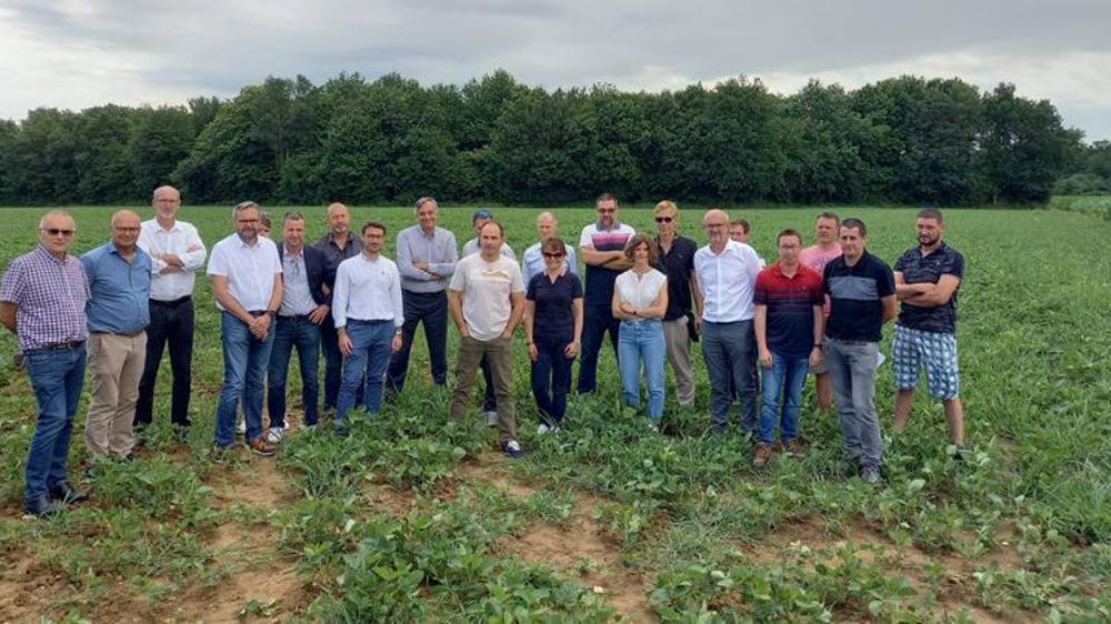Dix partenaires sont impliqués dans cette nouvelle filière Eau 17, les coopératives Océalia, de Beurlay, Saint-Agnant, le groupe Isidore, Pasquier Vgt’al, le Naca, Système U et Coop Atlantique.