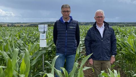Emmanuel Lecompte (à g.), responsable technique chez La Source Bretagne, et Michel Bottollier, responsable du réseau Étamines, dans une des parcelles de la ferme Étamines du négoce, le 30 juin.
