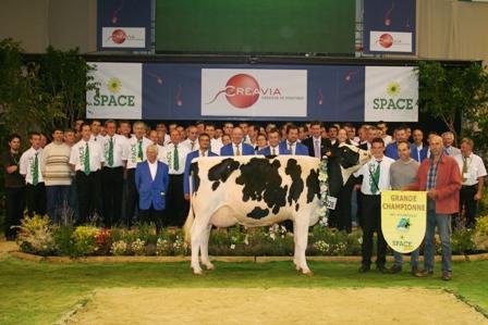 Prim'holstein