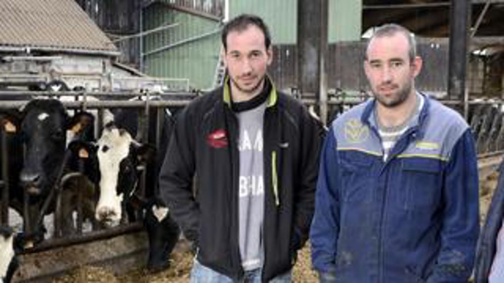 Récolte. Fabien, José et Jean-Yves Bernard, les trois associés du Gaec, font l’arrachage en trois fois : mi-septembre, fin octobre et fin novembre. D.G Récolte. Fabien, José et Jean-Yves Bernard, les trois associés du Gaec, font l’arrachage en trois fois : mi-septembre, fin octobre et fin novembre. D.G