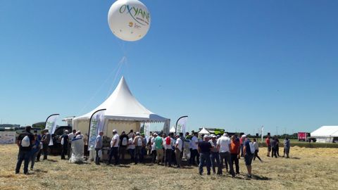 La coopérative Oxyane, qui devrait être  effective mi-janvier, sera assurément, avec 631 M€ de CA cumulé, le poids lourd du Sud-Est. 