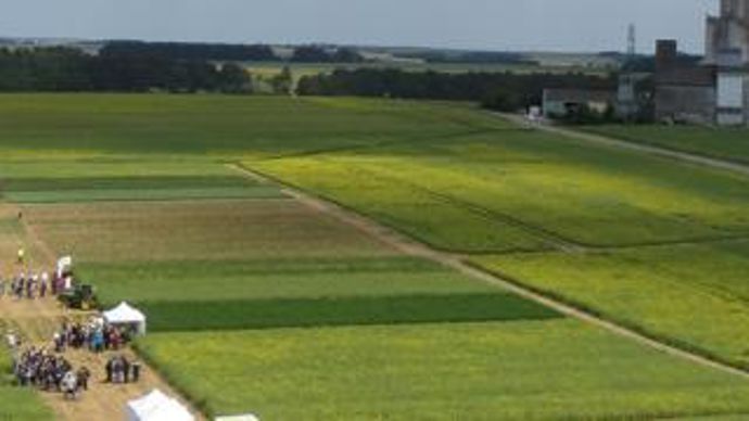 Le réseau d’expérimentation Artémis, mutualisant les moyens des six coopératives Dijon céréales, Terre comtoise, Bourgogne du Sud, Interval, 110 Bourgogne et Ynovae, a fêté ses dix ans en 2020.