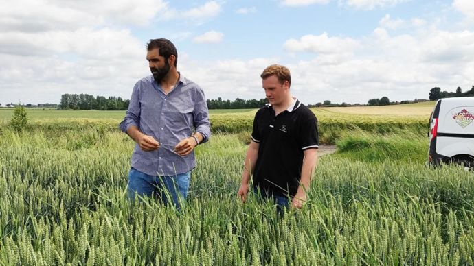 David Boucher, coach en agronomie du négoce Carré, accompagne Romain, apprenti TC, pour un diagnostic maladies foliaires dans une parcelle de blé. 