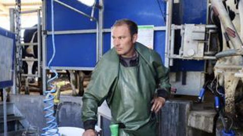 Julien Foureau. Le matin, il trait seul les 135 vaches en une heure trente environ. Il ne pratique pas le post-trempage. Cédric FAIMALI