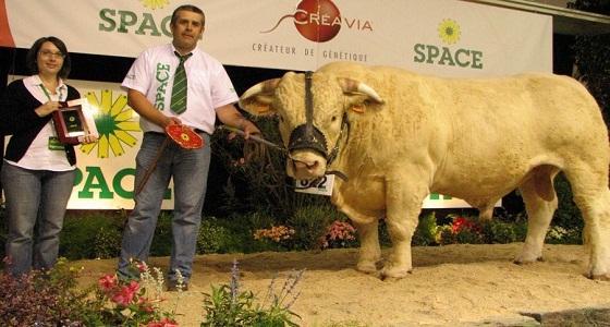 Facom, gagnant du championnnat mâle vient des Deux-Sèvres.