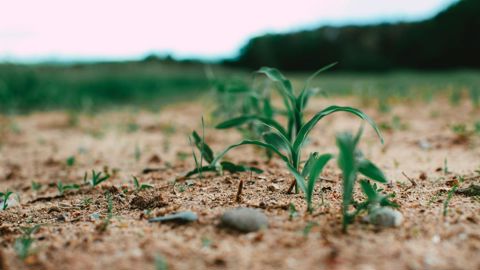 Photo Markus Spiske - Unsplash
