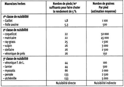 Quelques exemples de nuisibilité sur céréales.