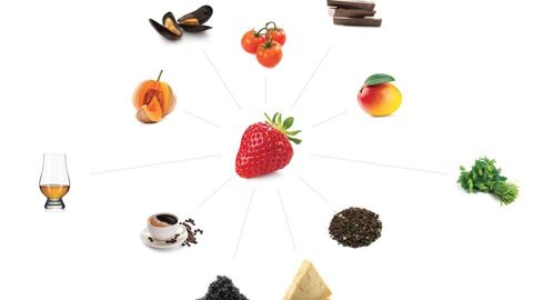 La fraise peut se marier avec des ingrédients surprenants, tels que les moules ou le parmesan.
