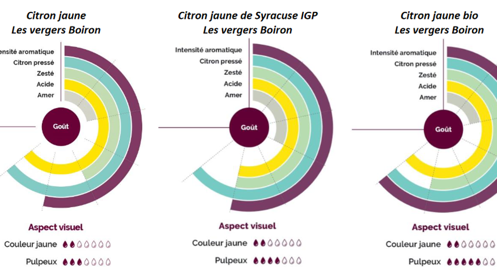 Fruitologie® et la roue des saveurs : un langage partagé