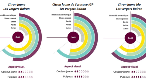 Fruitologie® et la roue des saveurs : un langage partagé Fruitologie® et la roue des saveurs : un langage partagé