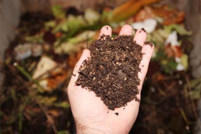 Le compostage apparaît comme une voie d’avenir pour le recyclage des biodéchets.