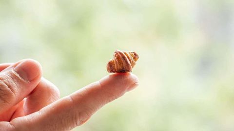 Des savoureux petits déjeuners à tartiner aux petits beignets sucrés, les aliments miniatures ont pris le dessus sur Instagram et TikTok. Soflofooodie/Instagram/Valentina Mussi