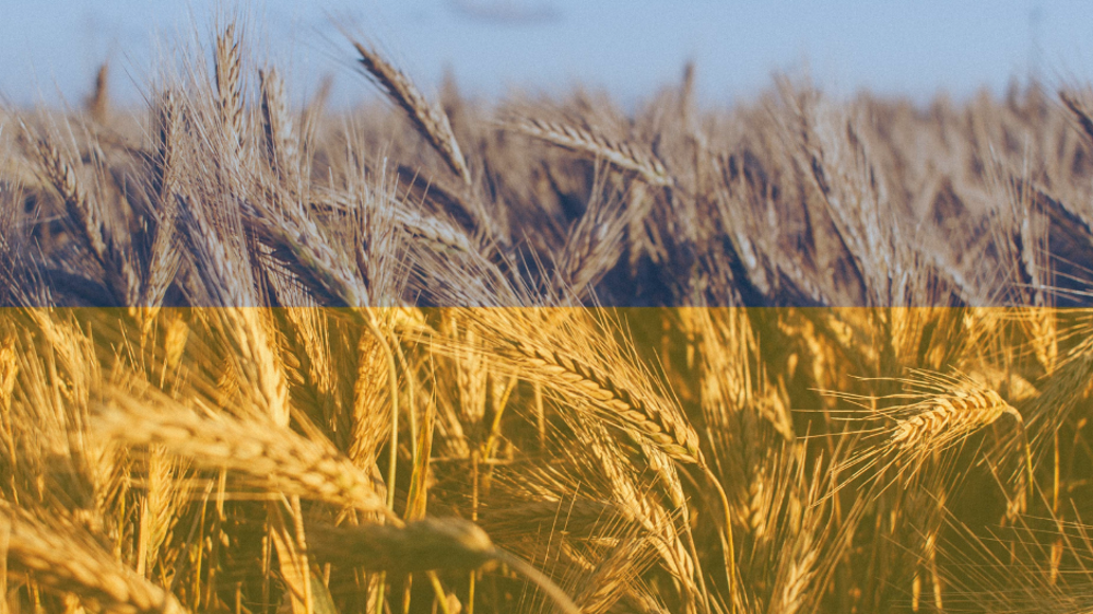 tomasz-filipek-joOVC9d-jis-unsplash