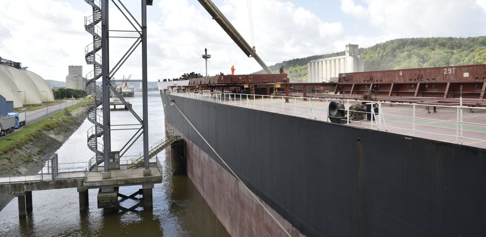 Blé, orge, colza et tourteaux sont orientés à la baisse cette semaine.