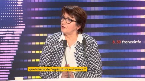 Christiane Lambert, présidente de la FNSEA, au micro de France Info le 20 décembre 2022, après l'annonce de sa non-représentation pour un 3e mandat Christiane Lambert, présidente de la FNSEA, au micro de France Info le 20 décembre 2022, après l'annonce de sa non-représentation pour un 3e mandat
