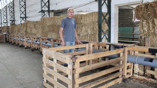 Le coût des aménagements revient à 25 € par brebis, estime Richard Henry, ici devant un box d’agnelage. Le coût des aménagements revient à 25 € par brebis, estime Richard Henry, ici devant un box d’agnelage.