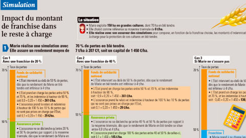 Ce que la réforme de l’assurance récolte change pour les grandes cultures