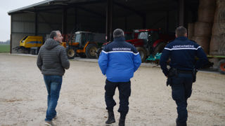 Alors que les peines « anti-intrusion » dans les fermes sont inchangées, le gouvernement veut les durcir dans les stades. Alors que les peines « anti-intrusion » dans les fermes sont inchangées, le gouvernement veut les durcir dans les stades.