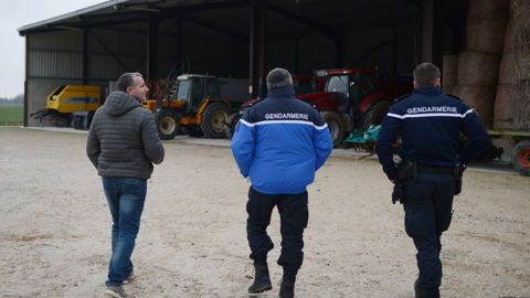 Alors que les peines « anti-intrusion » dans les fermes sont inchangées, le gouvernement veut les durcir dans les stades. Alors que les peines « anti-intrusion » dans les fermes sont inchangées, le gouvernement veut les durcir dans les stades.